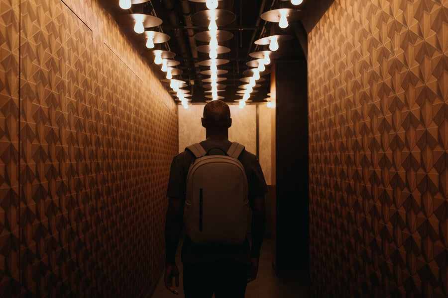 Everyday Backpack 20L